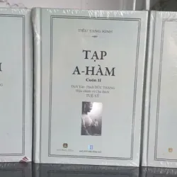 Tạp A- Hàm tập 1,2,3 - Tuệ Sỹ 704364