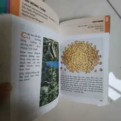 Sách Từ điển tranh về các loài cây 935060
