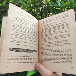 Cá Biển Việt Nam - The Marine Fishes Of VietNam - Tập 1 526446