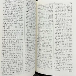 Từ điển từ vựng tiếng Hàn  New 새 국어사전 796418