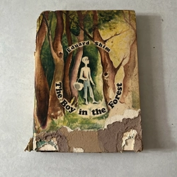 The boy in the Forest 