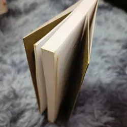 Cuộc sống ở trước mặt (Romain Gary) 791046