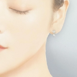 PT900 Bông tai kim cương 0.75CT - Hàng hiệu Chính hãng 873872