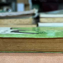 Có hai con mèo ngồi bên cửa sổ 🌊 599769