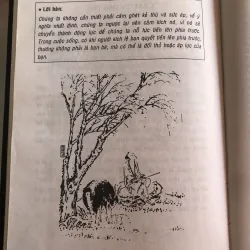 Trí tuệ của Thiền - Thành Thông biên dịch 1010125