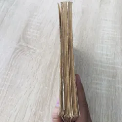 NGƯỜI ĐÀN BÀ TRONG TƯỚNG MỆNH HỌC ( Vũ Tài Lục) 974794