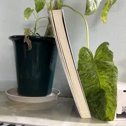 Nuôi con bằng trái tim của một vị phật 746424