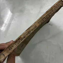 Lịch sử văn học Việt Nam (T1, P1) Văn học dân gian 1024224