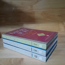 Đại Việt Sử Ký Toàn Thư (Bản In Nội Các Quan Bản) 607770