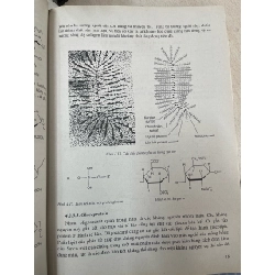 Cơ sở hoá sinh - PGS, TS. Trịnh Lê Hùng 994444
