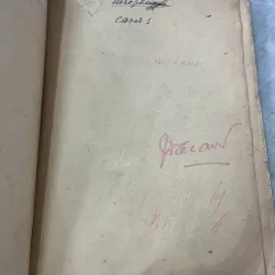 SỰ LÝ LỄ TỤNG - TỐ LIÊN 798972