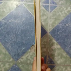 Mười hai con mắt ( Di cảo thơ ) I - Bùi Giáng 1000197