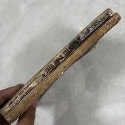 Thân phận thầy lang (2 tập) 1029708