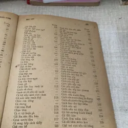 Người nội trợ hoàn toàn 997215