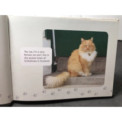 Hamish Mchamish of st andrews cool cat about town mới 90% bìa cứng , bẩn nhẹ Susan McMullan HPB0709 NGOẠI VĂN 458452