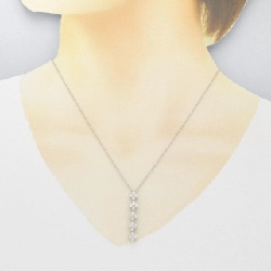 Dây chuyền rơi lưới Tiffany - Hàng hiệu Authentic 844775