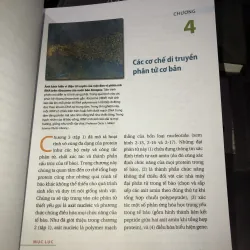 Sinh học phân tử của tế bào tập 2  1010154