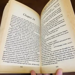 Fairfield rose - Sue Dyson  990595