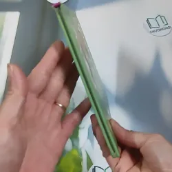 First Reader: Rumpelstiltskin 990507