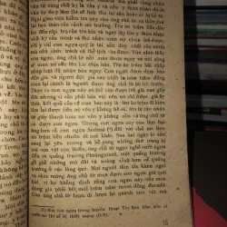 Đám cưới giả - Xecvantex 991234