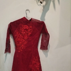 Bộ áo và chân vây 537999