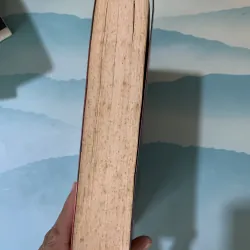 Sự cám dỗ cuối cùng - diệp lạc vô tâm 993841