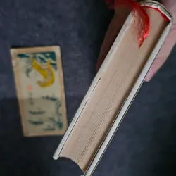 Ngày xưa có một chuyện tình bản đặc biệt 736573