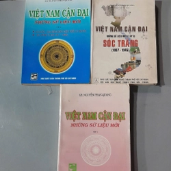 VIỆT NAM CẬN ĐẠI (3 TẬP)