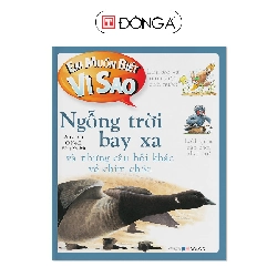EMBVS - Ngỗng trời bay xa - Đông A, Sách thiếu nhi Rebooks.vn