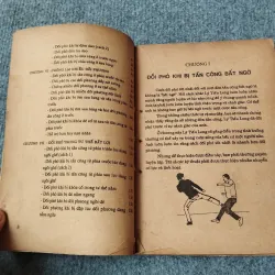 PHƯƠNG PHÁP CHIẾN ĐẤU CỦA LÝ TIỂU LONG 701893