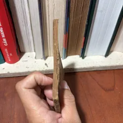 II Sách Phật Giáo: Đời Mạt Pháp - Thanh Sĩ - 1964 706793