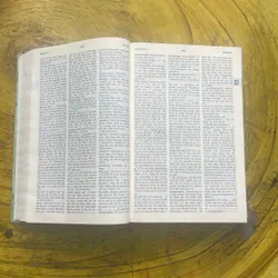 TỪ ĐIỂN ANH - VIỆT - ENGLISH - VIETNAMESE DICTIONARY NEW EDITION  699409