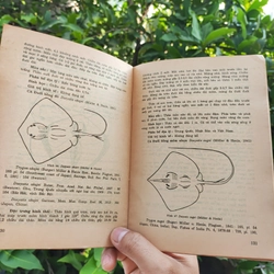 Cá Biển Việt Nam - The Marine Fishes Of VietNam - Tập 1 526446