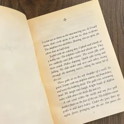 ✨𝑻𝒉𝒆 𝑴𝒖𝒔𝒊𝒄 𝒐𝒇 𝑫𝒐𝒍𝒑𝒉𝒊𝒏𝒔✨ 721886