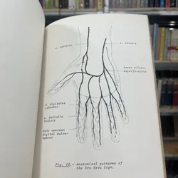 HOU KEOU, A PROGNOSTIC SIGN IN CHILDREN - PHAN TIÊN THÁI 590862