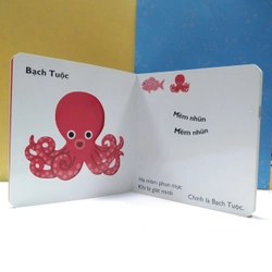 Combo Sách Cùng chơi trốn tìm cho bé mới 100% 503779