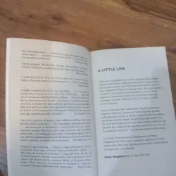 A Little Life 957201