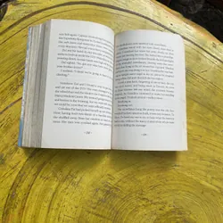 SWITCH- INGRID LAW 596105