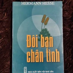 Đôi bạn chân tình