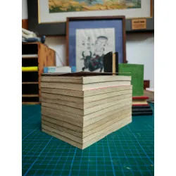 TRUYỆN TRANH Sakura Clamp Thủ Lĩnh Thẻ Bài Full bộ 12 tập 126991