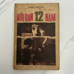 Nỗi Oan 12 Năm - Trần Vương.