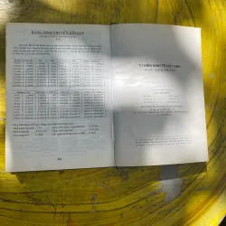 TỪ ĐIỂN KINH TẾ VIỆT- ANH- NGUYỄN VĂN LUẬN 731549