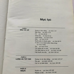 3. ATLAS GIẢI PHẪU NGƯỜI  470951