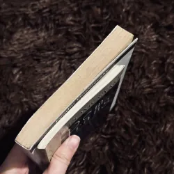 Combo Là bóng hay là hình + đêm trắng 756100