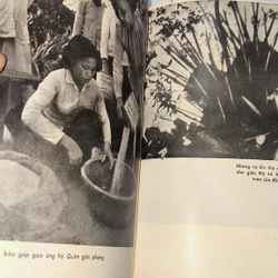 Sức mạnh Việt Nam (NXB Quân đội nhân dân, 1976) 538220