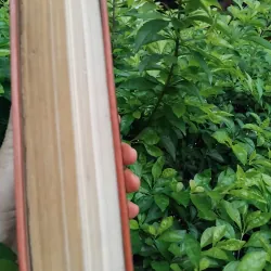 5 tập thơ quý hiếm nxb Văn hóa đầu 1960 đóng chung  999735