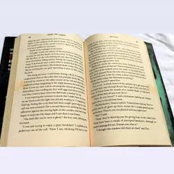 Solitary escape from furnace (Alexander Gordon Smith) 732630