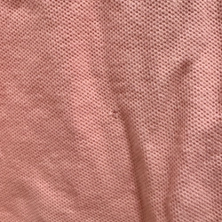 Áo polo ralp màu hồng size L 455017
