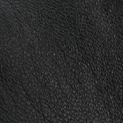 Jacket BLENHEIM 641341