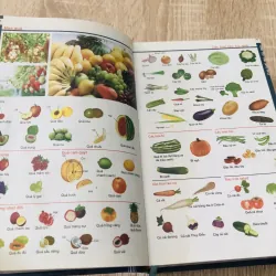 TỪ ĐIỂN TIẾNG VIỆT THÔNG DỤNG DÀNH CHO HỌC SINH  1000546